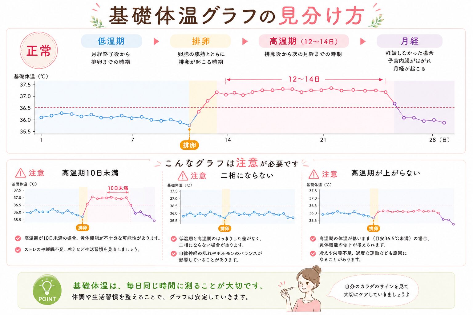 基礎体温グラフの見分け方